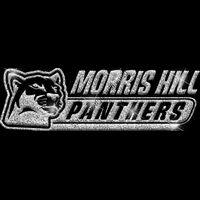 GLT102 SILVER GLITTER Thumbnail